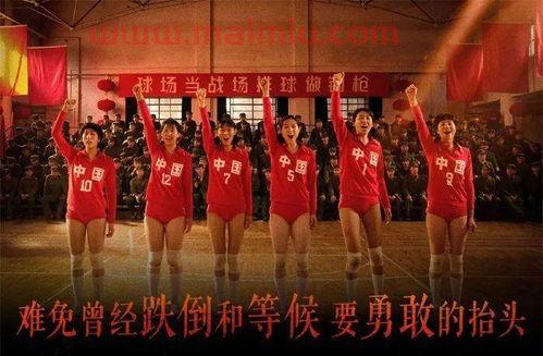 电影夺冠中国女排队员是谁（夺冠电影女排队成员）