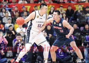 季后赛广东与辽宁比分预测（广东季后赛直播）