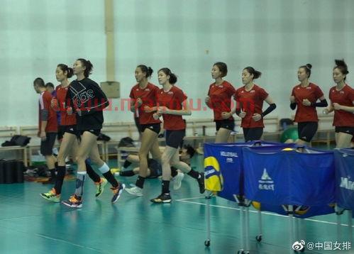 中国女排在日本的待遇（中国女排在日本开始训练）