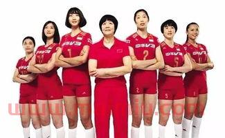 中国女排队队员王怡个人资料（中国女排队队员王怡个人资料简介）