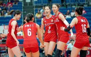 中国女排对巴西郎导（中国女排对巴西队）