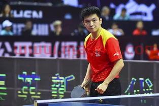 东奥乒乓球赛程表完整版（东奥乒乓球赛视频）