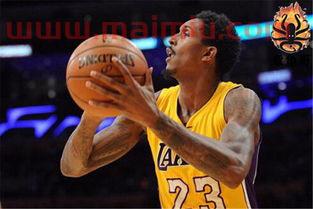 湖人vs火箭什么软件（湖人vs火箭中文解说）