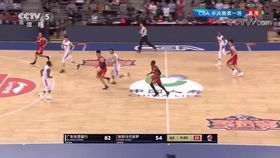 广东和深圳季后赛两场比分（广东vs深圳季前赛）