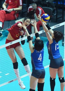 中国女排队员孙杨个人资料（中国女排队员孙杨个人资料介绍）