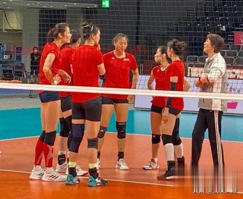日本节目评价中国女排队员（日媒本网友评价中国女排）