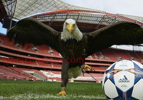 直播2022欧冠决赛时间（欧冠决赛2021直播平台）