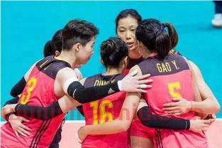 中国女排大奖赛***（中国女排大奖赛总决赛）