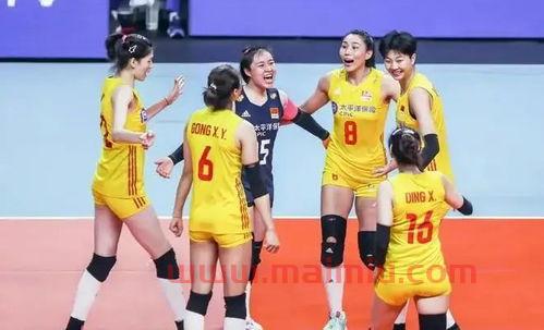 女排中国对巴西直播时间（中国女排vs巴西现场直播几点）