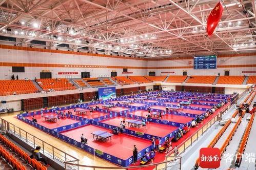 江苏省运会甲组乒乓球赛程（江苏省运会比赛项目）