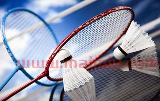 2021年世界赛程表（2021世界赛程表羽毛球）