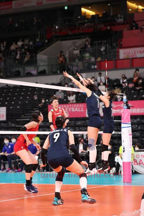 中国女排测试赛在哪看（中国女排从哪看）