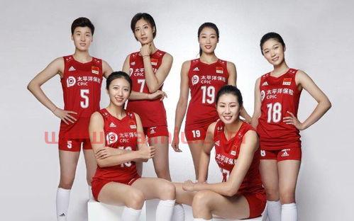 日本看中国女排比赛视频（日本看中国女排比赛视频直播）