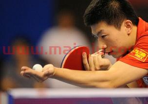 乒乓球赛程介绍图解文字（乒乓球赛程介绍图解文字版）