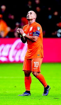 荷兰版欧冠决赛时间表（荷兰队无缘欧洲杯决赛圈）