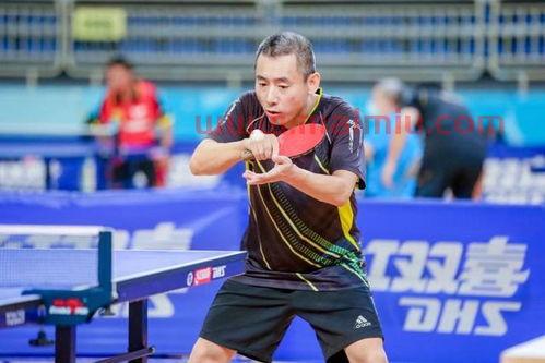 11日乒乓球赛程（11月份乒乓球体育赛事视频）