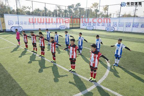 足球场上神仙进球的规则(足球进场流程) 足球场上神仙进球的规则(足球进场流程)