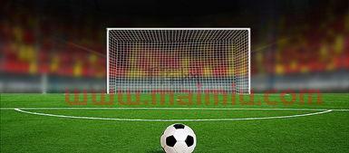 足球团队最快进球规则是（足球最快进球纪录视频）