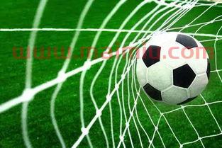 足球总进球数11赔多少（足球总进球数23）