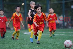 足球6场半进球规则（足球六场半全场胜平负）