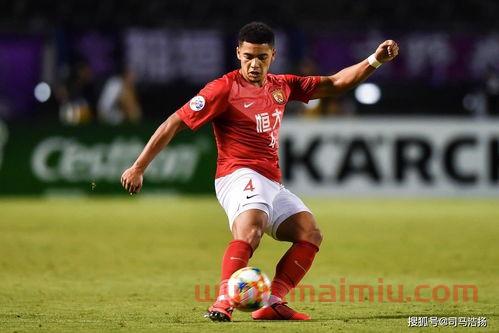 中国足球归化国家队（中国国家足球队归化球员名单）