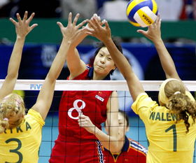 世杯赛中国女排队员名单（世界杯联赛中国女排）