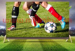 体彩足球总进球规则（体彩足球总进球规则图解）