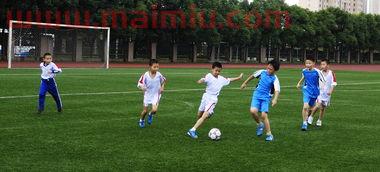 小学生足球联赛进球数(小学足球竞赛规则) 小学生足球联赛进球数(小学足球竞赛规则)