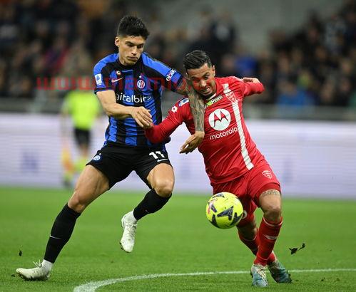 意大利足球队蒙扎简介资料(意大利足球队蒙扎简介资料大全)