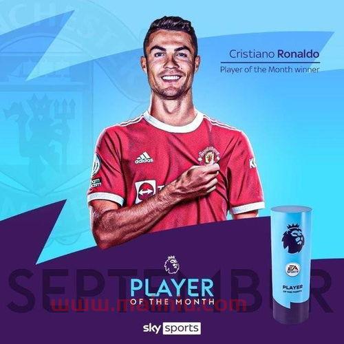 英超三大最佳球员奖杯图(英超三大最佳球员奖杯图片高清)