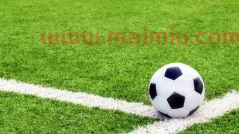 足球职业比赛总进球数排名(足球职业联赛进球排名)