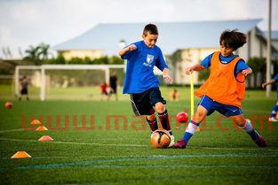 国际足球规则怎么才算进球(足球比赛怎么样算进球)