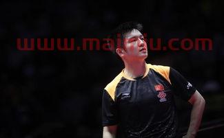 樊振东的国家队主教练是谁(樊振东的国家队主教练是谁呀)