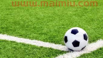 足球总进球数加时算吗(足球总进球数算不算加时)