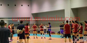 世锦赛半决赛977(世锦赛半决赛直播)