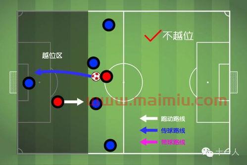 足球规则场外队员进球算吗(足球内场和外场的区别)