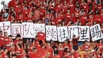02年世界杯中国战绩(02年世界杯中国战绩视频)
