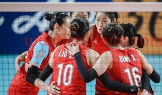 亚运会中国女排队员名单（亚运会中国女排冠军赛）