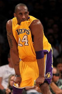 湖人和小牛季后赛比分（湖人vs小牛62分录像）