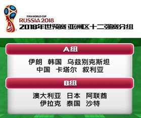 世界杯亚洲区预选赛12强赛分组