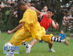 意大利少林足球队教练是（意大利籍足球教练）