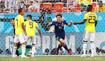 2022世界杯球队数量