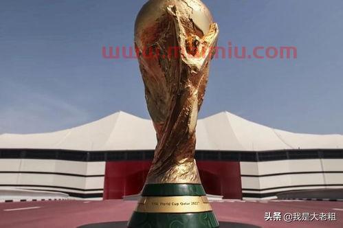 2022卡塔尔世界杯亚洲有几支球队