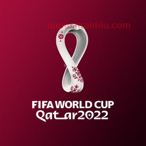 2022年的世界杯在哪里