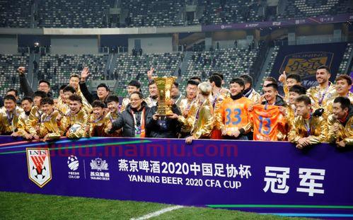 2021年山东鲁能泰山亚冠