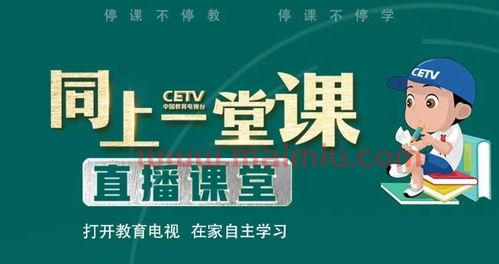 中国教育4台在线直播
